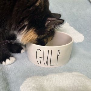 Rae Dunn “Gulp” pet dish
